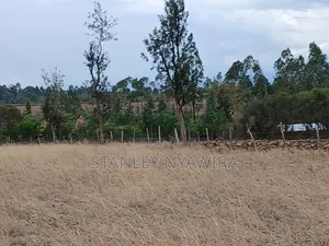 7 Acreas Nanyuki Matanya