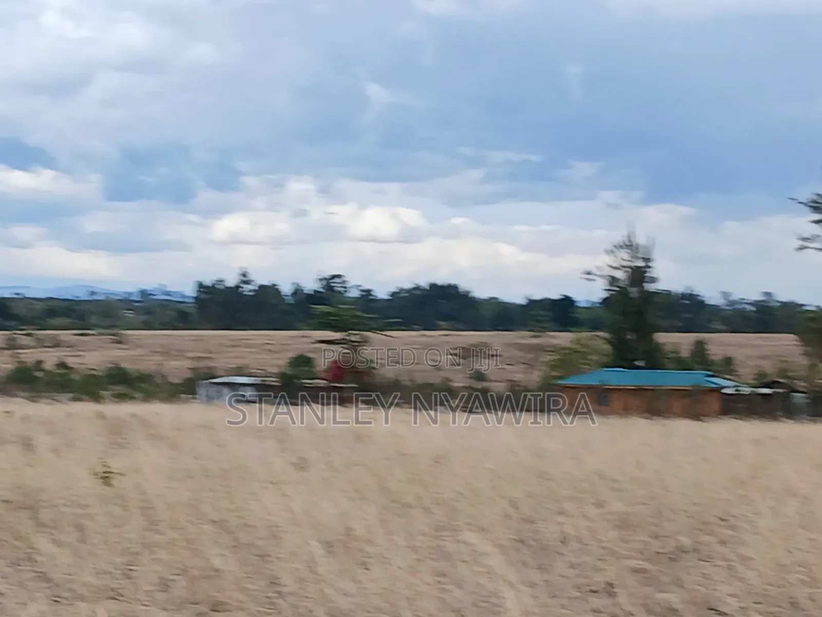 7 Acreas Nanyuki Matanya