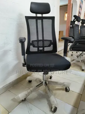 Ergonomic Executive High-Back Mesh Office Chair