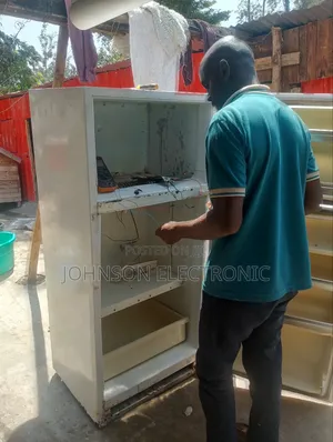 Professional Freezer and Fridge Repair and Maintenance Services.