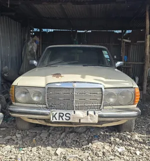 Mercedes-Benz W123 1985 Beige
