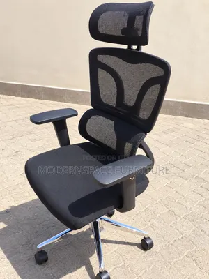 Ergonomic Mesh Office Chair With Headrest