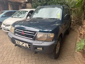 Mitsubishi Pajero 2001 Blue