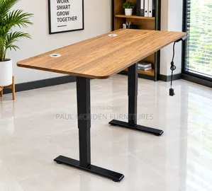 Electric Adjustable Desk 1.2m