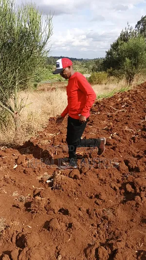 40×80 Plots in Githanji, Kenol