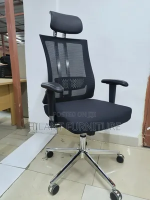 Director's Executive High-Back Orthopaedic Office Chair.