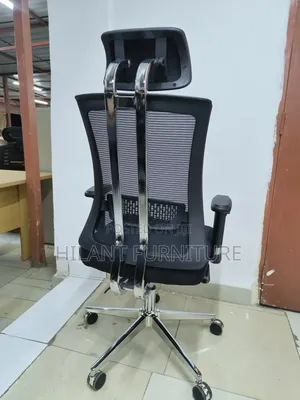 Director's Executive High-Back Orthopaedic Office Chair.