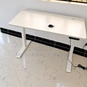 Home/Office Adjustable Desk