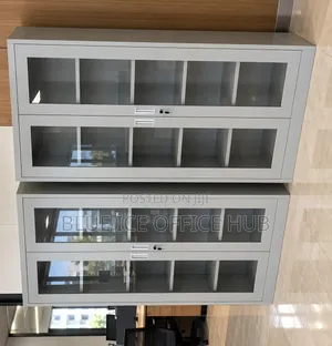 2 Door Glass Office Cabinet With Shelves