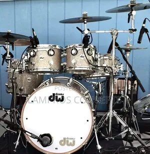 Professional Drummer/Band