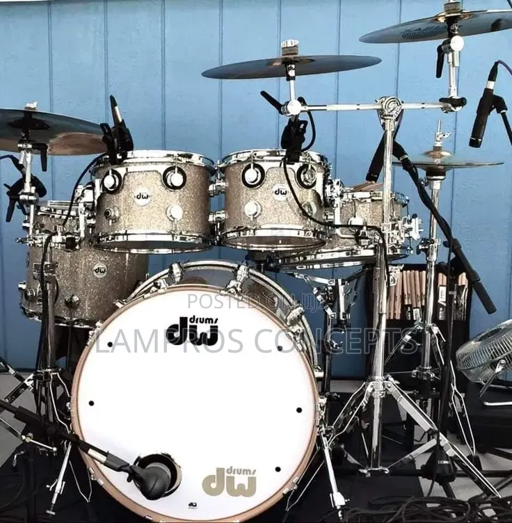 Professional Drummer/Band