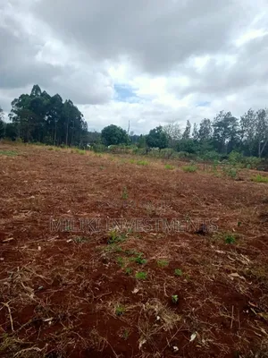 1.25 Acres on Sale at Kenol-Kimorori