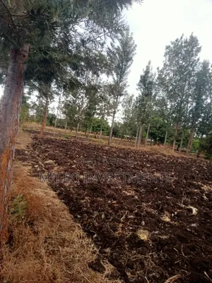 1.25 Acres on Sale at Kenol-Kamiigua