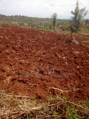 60 by 100 Ft Plot on Sale at Kenol -Kagaa