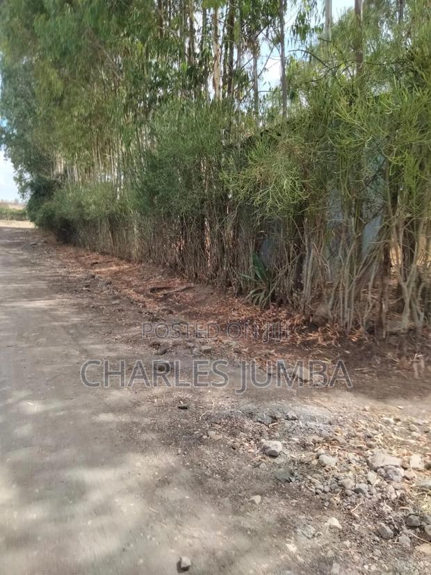 Ruai Plot in Green Spring Estate