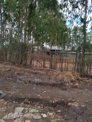 Ruai Plot in Green Spring Estate