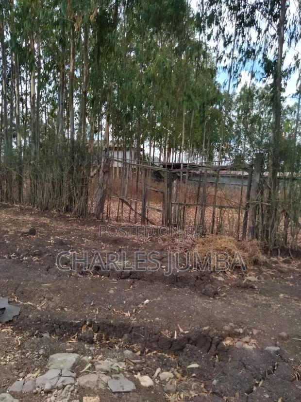 Ruai Plot in Green Spring Estate - thumbnail 2