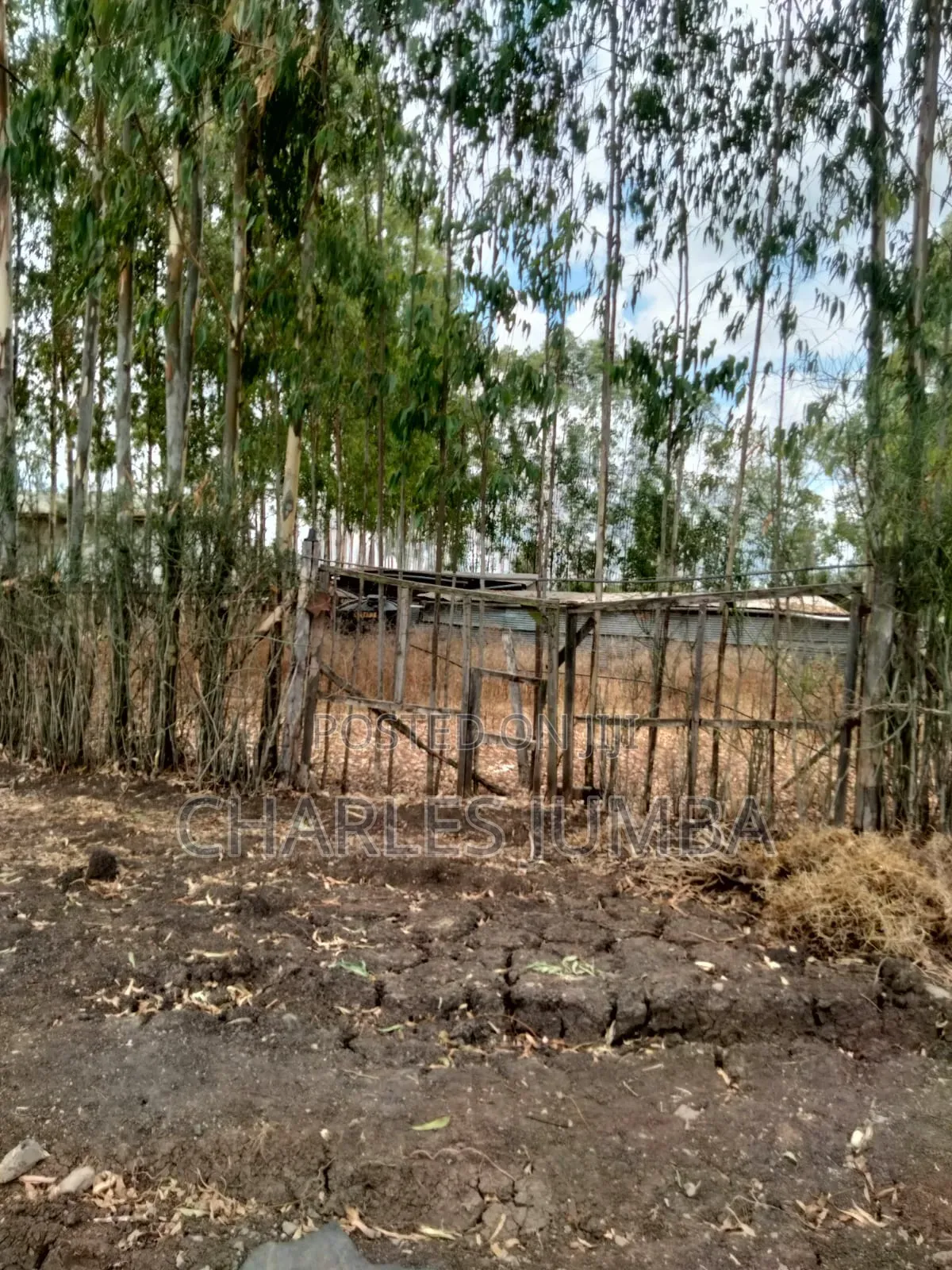 Ruai Plot in Green Spring Estate