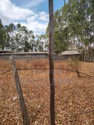 Ruai Plot in Green Spring Estate