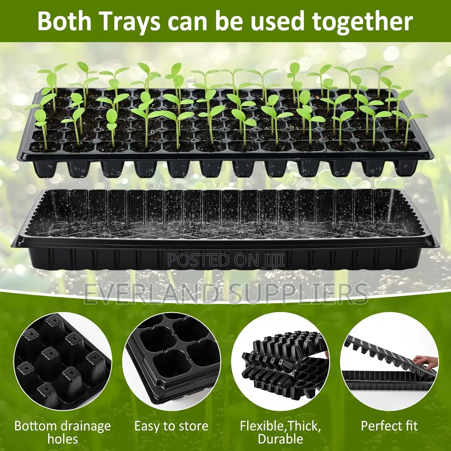 Efficient Seed Germination Seedling Tray - Wholesale