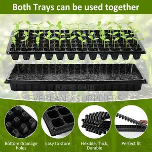 Efficient Seed Germination Seedling Tray - Wholesale