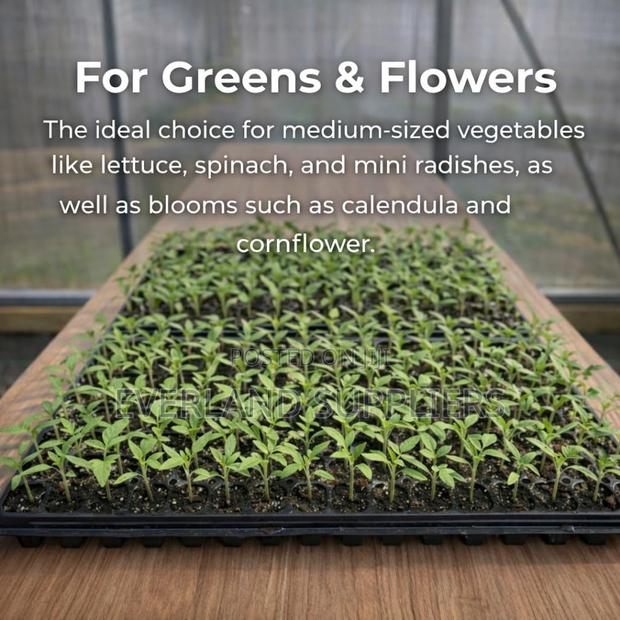 Seedling Expansion Trays - Wholesale - main view