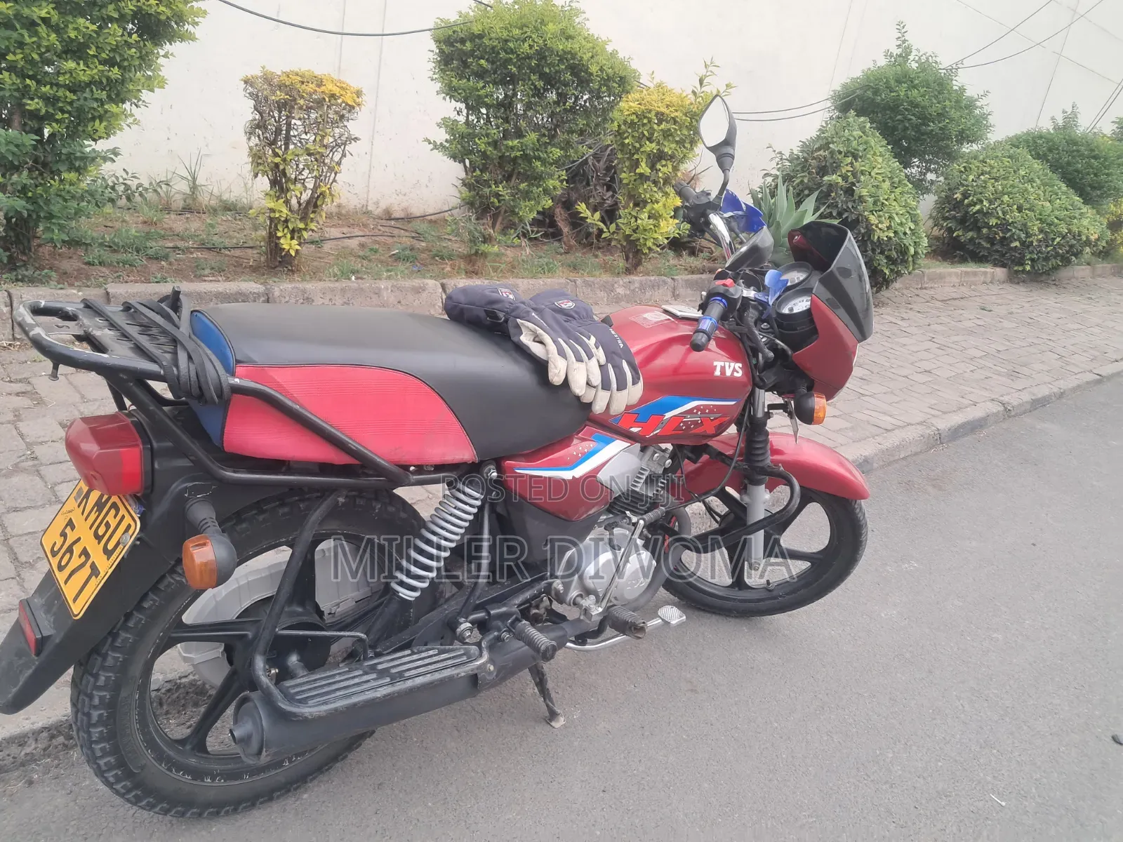 TVS HLX 125 2025 Red