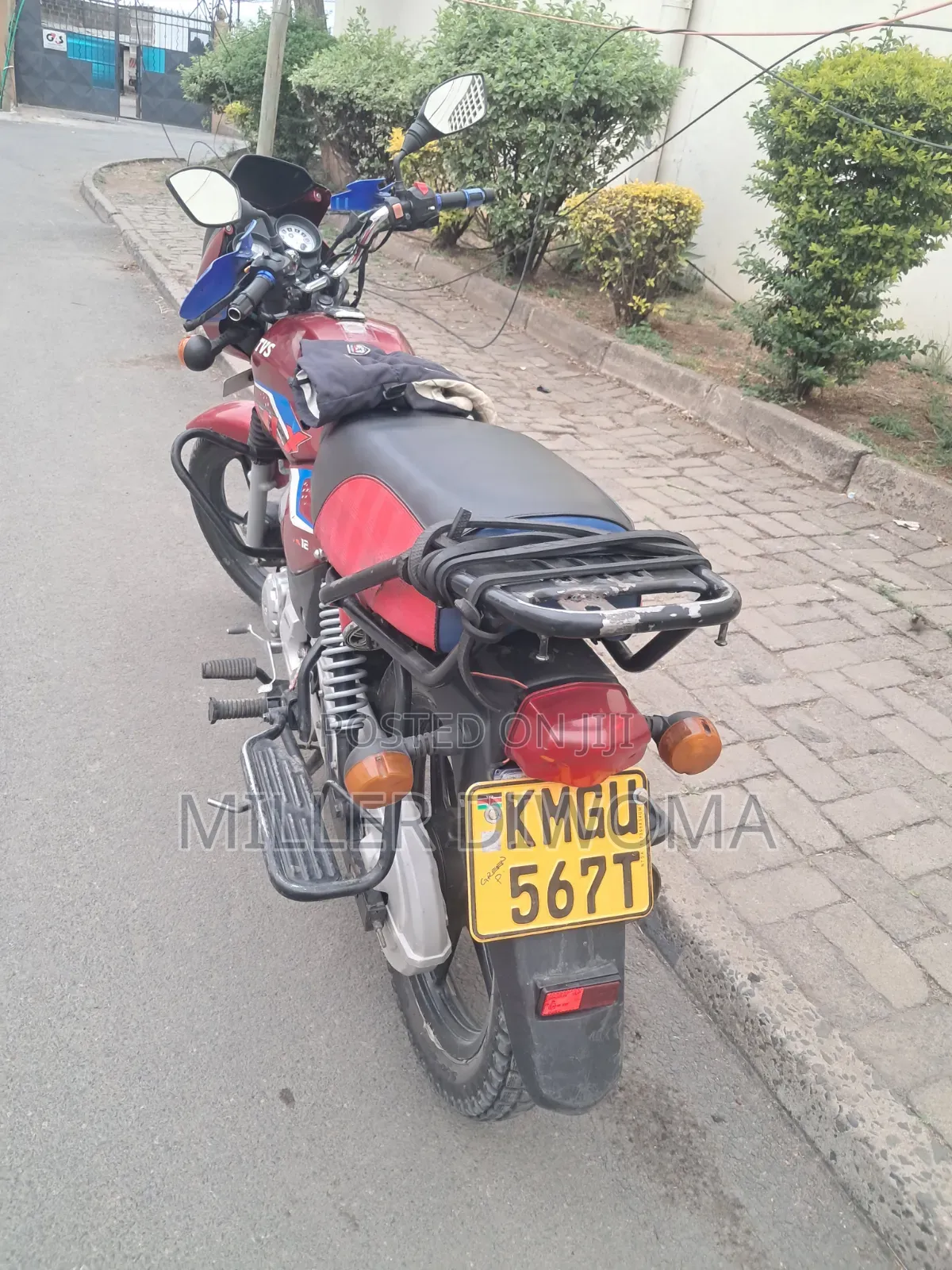 TVS HLX 125 2025 Red