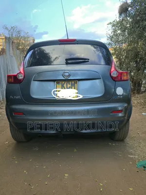Nissan Juke 2011 Gray