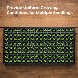 Organized Root Growth Seedling Trays - Wholesale