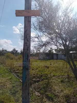 Plot for Sale