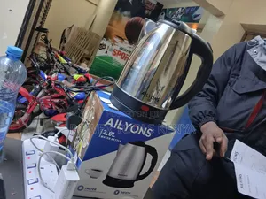 AILYONS 2.0L Stainless Steel Electric Kettle Resting