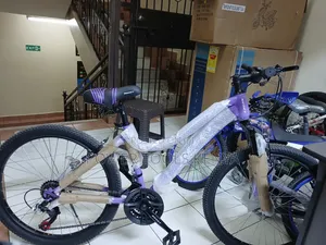 Reset 24" Mountain Bicycle With a Front Suspension