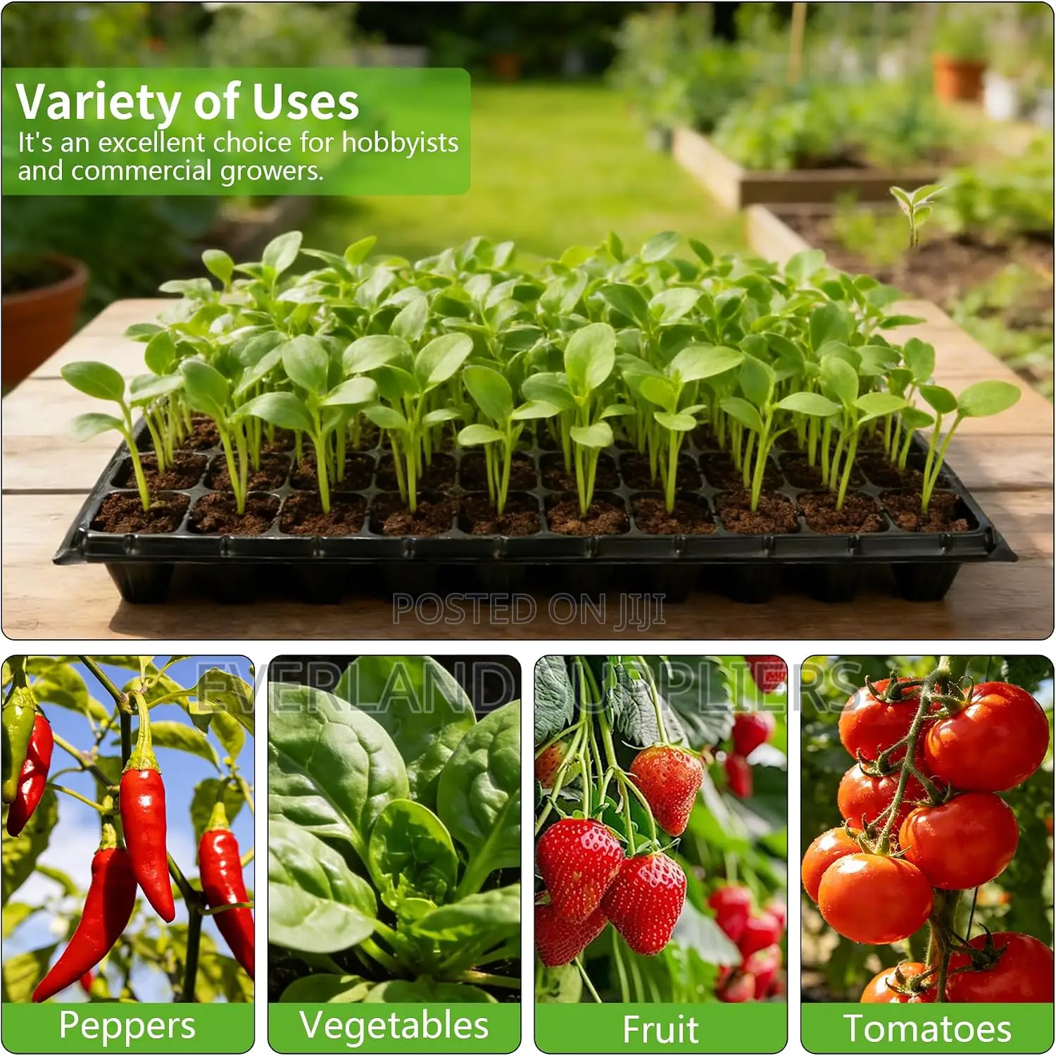 Seed Tray for Germination Made Easy