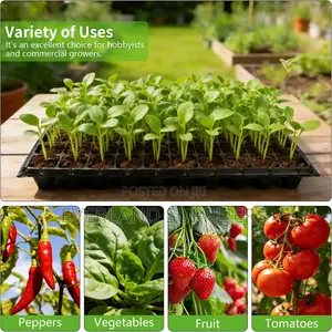 Seed Tray for Germination Made Easy