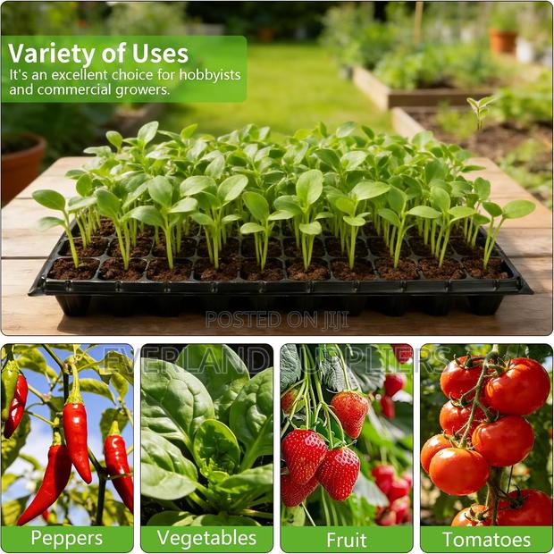Seed Tray for Germination Made Easy - main view