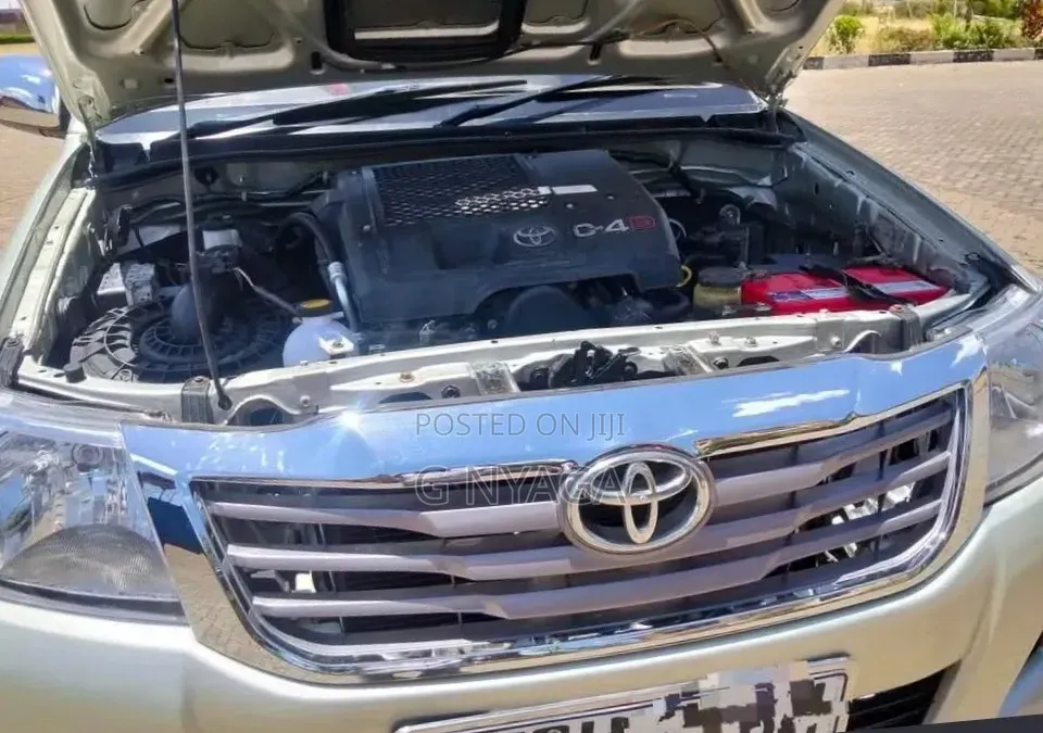Toyota Hilux 2010 Gray