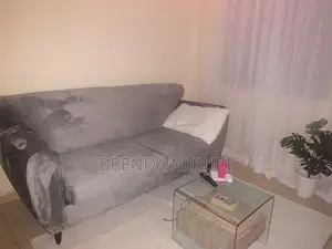 Grey 3 Seater Couch