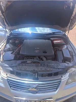 Toyota Mark X 2.5 RWD 2009 Silver