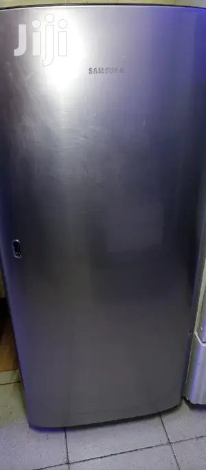 Samsung Fridge