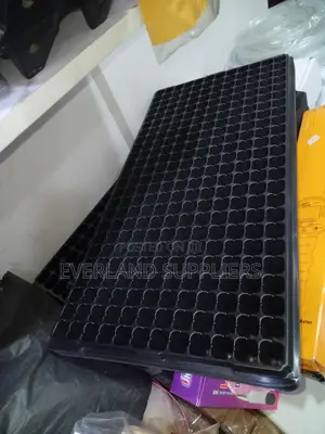 Organized Seed Planting Trays