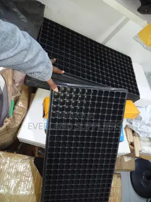 Individual-Cell Seedling Trays