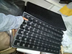 . Convenient Plant Propagation Trays