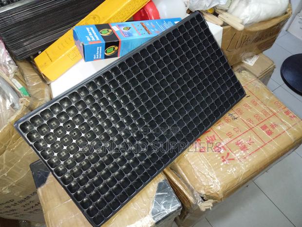 Practical Seed Sowing Trays - main view