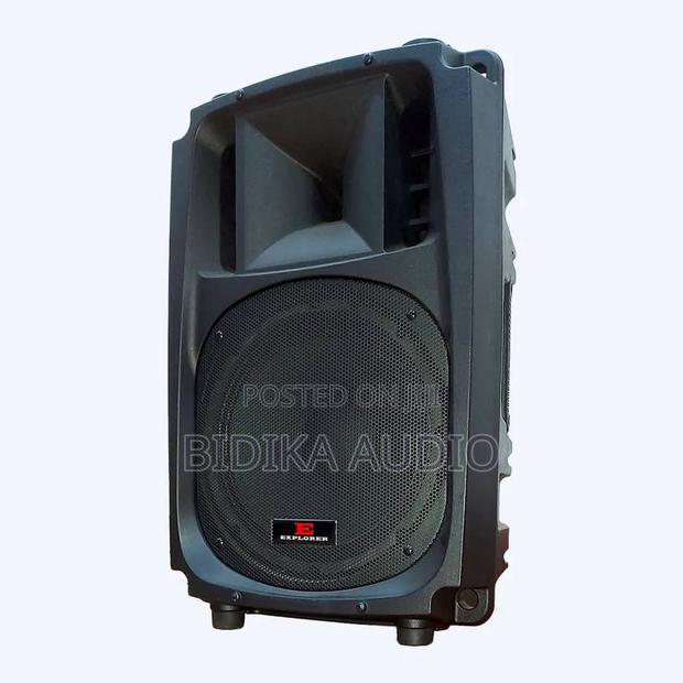 Explorer EXP 15P Passive Speaker - main view