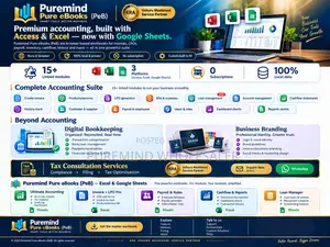 Custome Made Accounting Software (Build in Google Sheets or Excel)