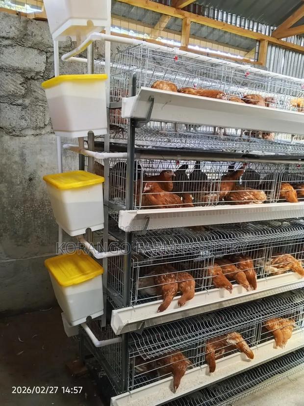 Chicken Cages H Type Shape - main view