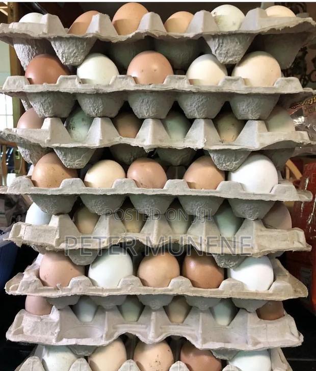 Eggs and Kienyenji Joggos - main view