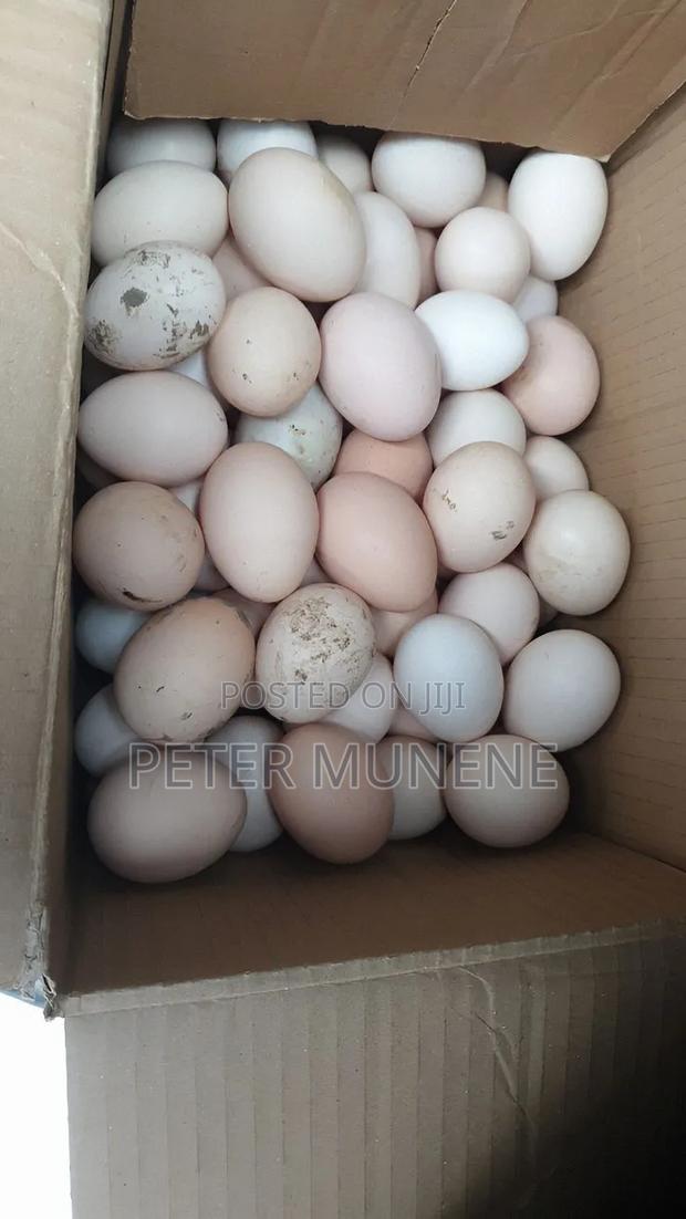 Eggs and Kienyenji Joggos - thumbnail 3