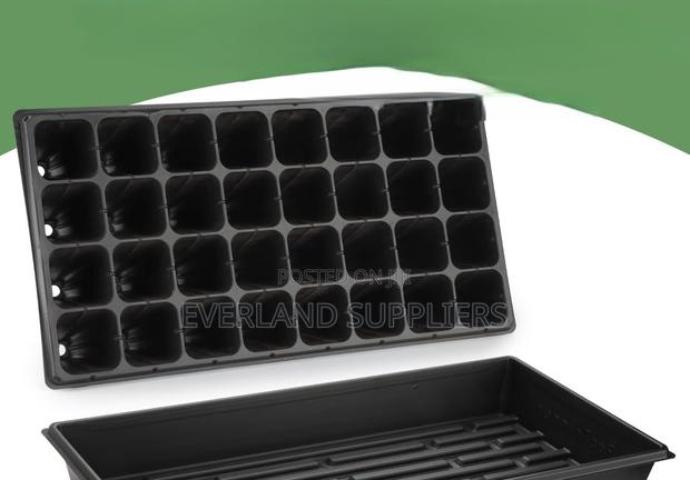 Everyday Gardening Seedling Trays - main view